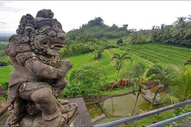 Tour: Besakih Temple-Kintamani Volcano-Water temple&Rice Terrace - The alternate Bukit Jambul and Garden Edelweis route