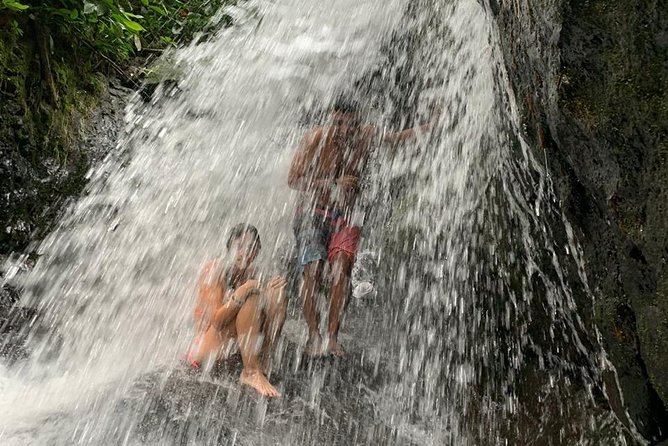 TOUR PACKAGE (jungle trekking, taxi, Room) 4 DAYS 3 NIGHTS in BUKIT LAWANG - Day 3: More forest, then a traditional raft