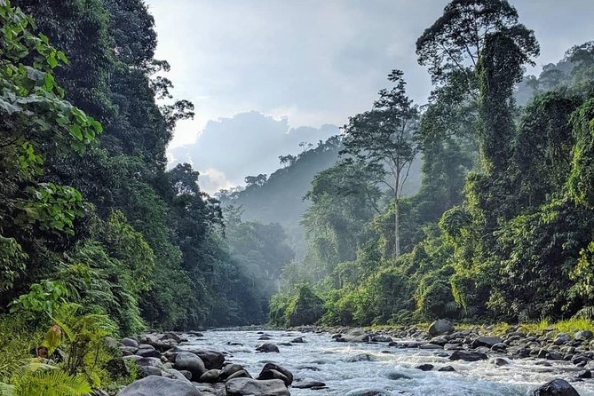TOUR PACKAGE (jungle trekking, taxi, Room) 4 DAYS 3 NIGHTS in BUKIT LAWANG - The guide team and group size