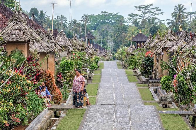 Trunyan Cemetery, Hot Spring, Penglipuran Village, and Waterfall Tour - What the $87 price includes