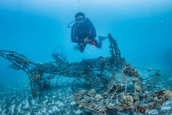 Try Dive Program in the Biorock Pemuteran - Key points to know before booking