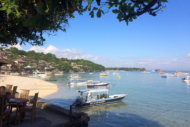 Try Diving in Nusa Lembongan - Penida. For beginners (with 2 ocean dives) - The pool session makes the ocean feel less daunting