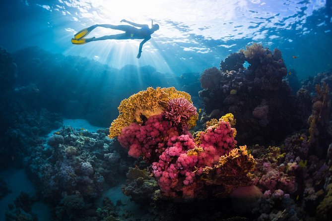 Try Freediving on Nusa Penida - Moving from the classroom to the home reef