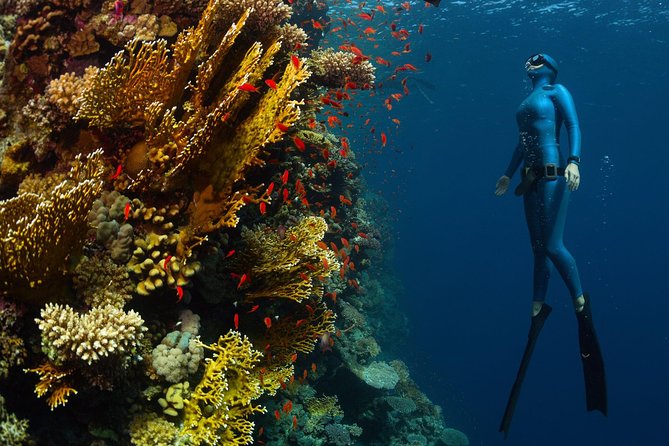 Try Freediving on Nusa Penida - The school’s teaching style and wider experience