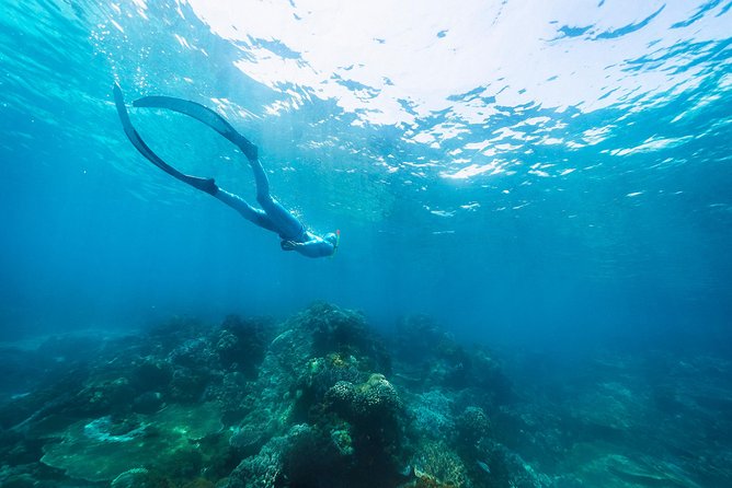 Try Freediving on Nusa Penida - Timing, cancellation, and practical planning