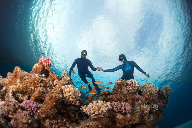 Try Freediving on Nusa Penida - The first 90 minutes at Freedive Nusa