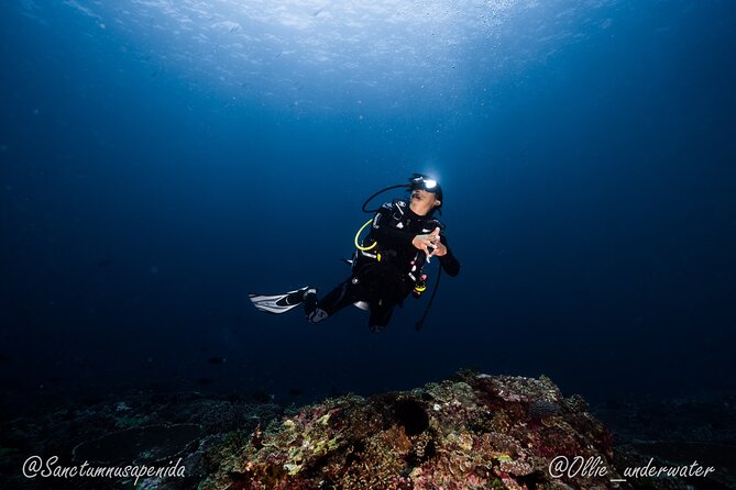 Try Scuba Diving for Beginners with manta rays (Non - Certified) - Safety, comfort, and the quality question