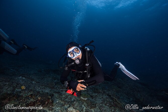 Try Scuba Diving for Beginners with manta rays (Non - Certified) - What the $122.19 price really covers