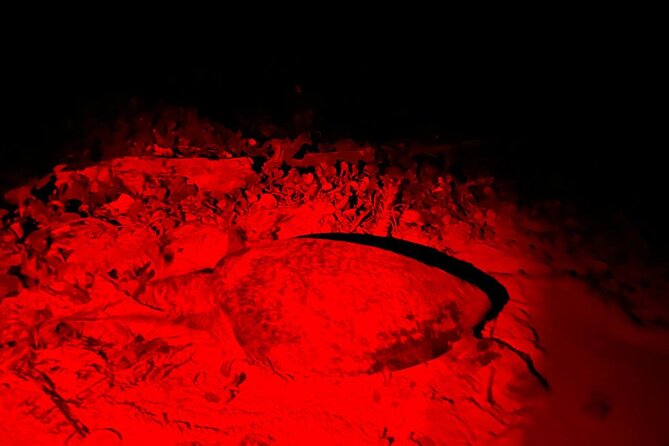 Turtle Tales of Pulau Banyak - Sleeping at the Bangkaru Ranger Station