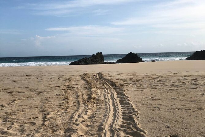 Turtle Tales of Pulau Banyak - Dawn brings the hatchlings