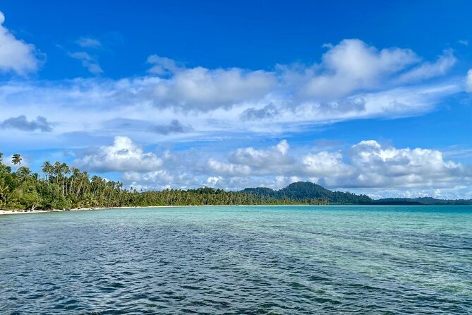 Turtle Tales of Pulau Banyak - Monitor lizards, crocodiles, and the wider wildlife