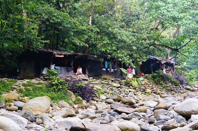Two days orangutans adventure in Gunung Leuser - What the $157 price means
