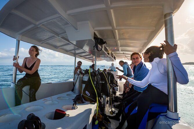 Two fun dives morning trip (Certified Divers only) - Timing, booking, and the cancellation risk