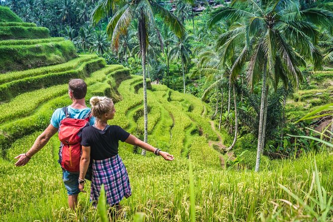 Ubud Adventure All Inclusive Private Day Tour - Tegalalang Rice Terrace: Bali’s farming tradition in view