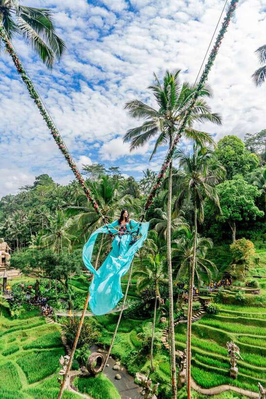 Ubud: Alas Harum Day-Pass, Swing, Sky Bike & Flying Fox - What your Alas Harum day really includes