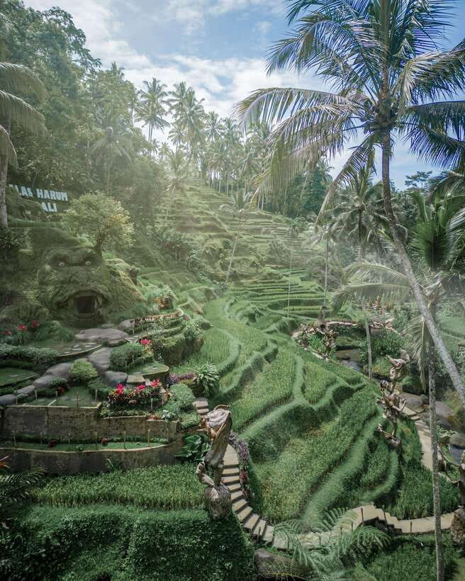 Ubud: Alas Harum Day-Pass, Swing, Sky Bike & Flying Fox - Pedaling the Sky Bike 15 meters up