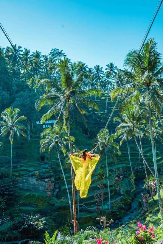 Ubud: Alas Harum Day-Pass, Swing, Sky Bike & Flying Fox - Rice terraces, caves, birdnest, and photo stops
