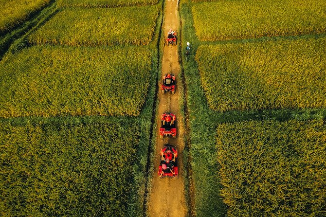 Ubud ATV Ride through River Jungle Rice Fields Puddles - Who will enjoy this most?
