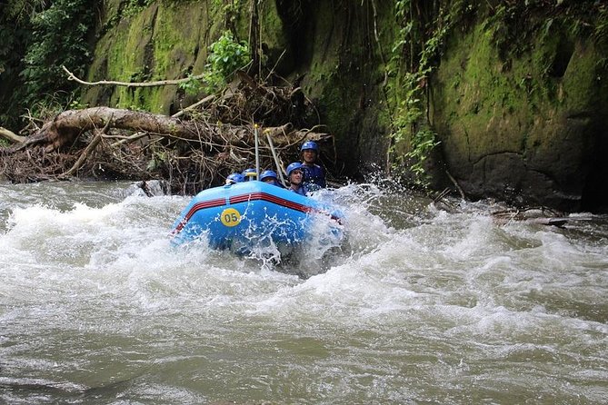 Ubud Ayung Water Rafting included Lunch and Transfer - Lunch, showers, and the practical finish