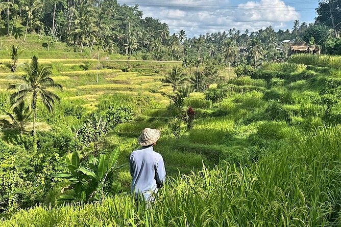 Ubud Bali Driver - Private Driver in Ubud - Starting at Kanto Lampo Waterfall