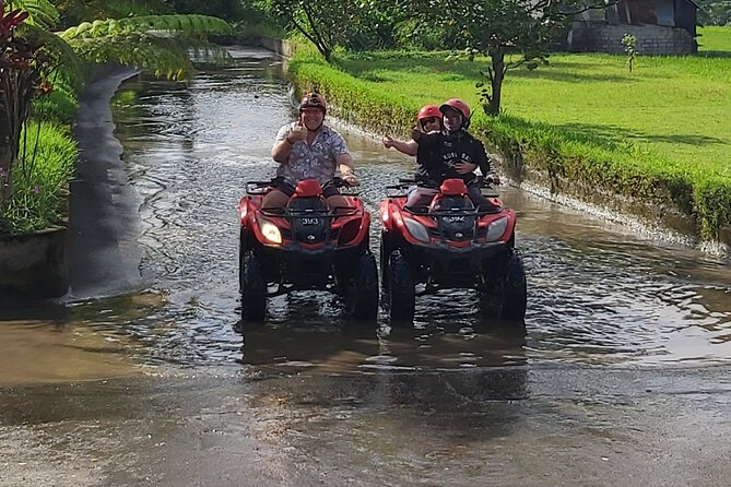 Ubud Bali Driver - Private Driver in Ubud - What the Driver Adds Beyond Transport