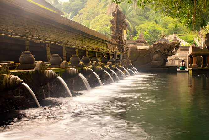 Ubud Bali: Rice Terrace, Waterfall and Tirta empul Day Tour - Goa Gajah, a temple with mixed traditions