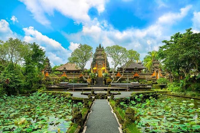 Ubud Bali: Rice Terrace, Waterfall and Tirta empul Day Tour - Is $35.32 per person good value?