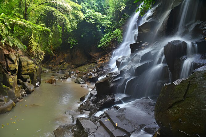 Ubud Bali: Rice Terrace, Waterfall and Tirta empul Day Tour - Cantik Agriculture, coffee, spices, and chocolate