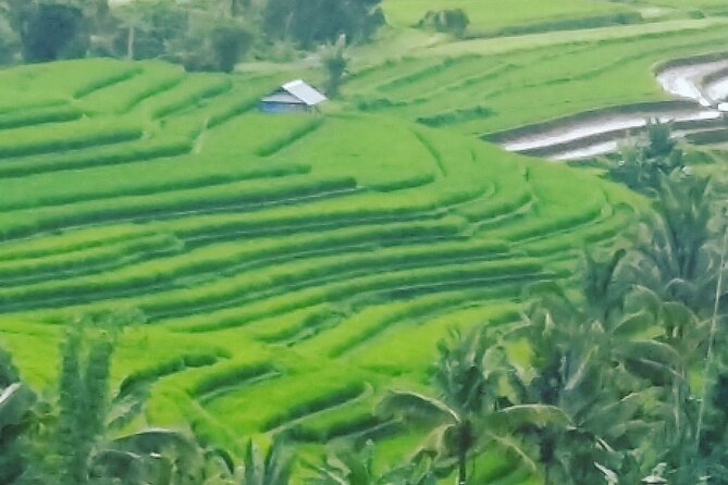 Ubud Buggy Adventure & Costumize Activities & cultural tours - Choosing your second half of the day