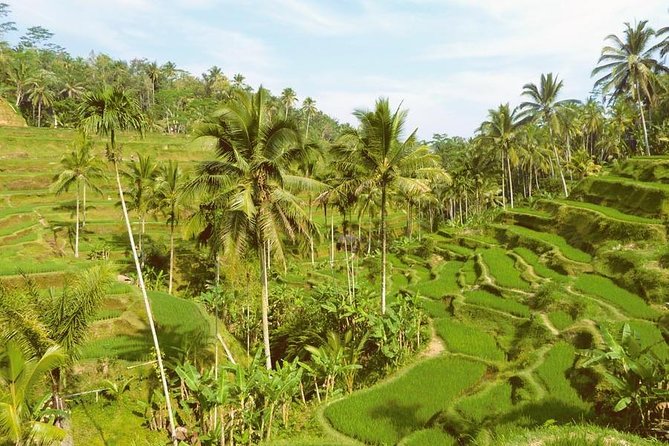 Ubud Combine Mount Batur Kintamani Tour - What the private vehicle changes