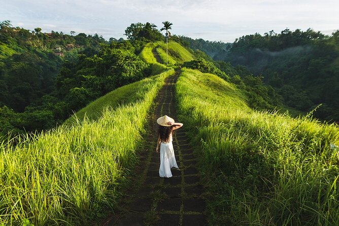 Ubud Countryside Tour: Campuhan Ridge Walk and Rice Terrace - Key points at a glance
