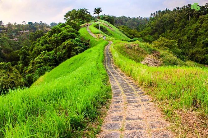 Ubud Countryside Tour: Campuhan Ridge Walk and Rice Terrace - Why this Ubud day works well