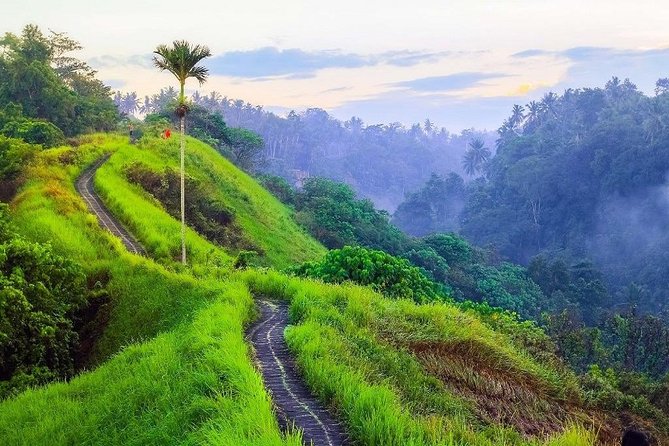 Ubud Countryside Tour: Campuhan Ridge Walk and Rice Terrace - Tegalalang Rice Terrace and the cost of a short stop