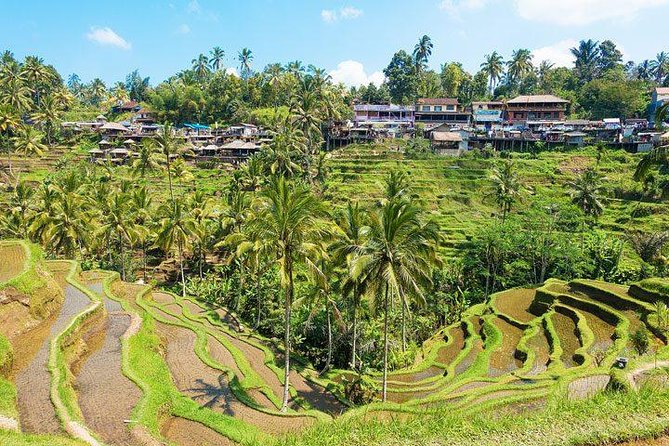 Ubud Countryside Tour: Campuhan Ridge Walk and Rice Terrace - Tirta Empul, sacred springs and respectful visits