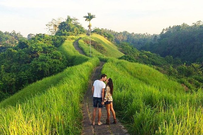 Ubud Countryside Tour: Campuhan Ridge Walk and Rice Terrace - Tegenungan Waterfall, a lively final nature stop