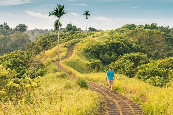 Ubud Countryside Tour: Campuhan Ridge Walk and Rice Terrace - Coffee, transport, and the spaces between stops