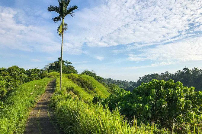 Ubud Countryside Tour: Campuhan Ridge Walk and Rice Terrace - A traditional Balinese house in Batuan