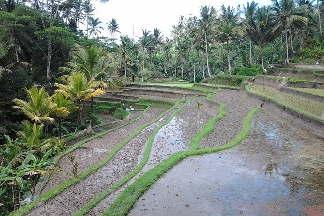 Ubud Customized Private Tour - Kanto Lampo offers a second waterfall style