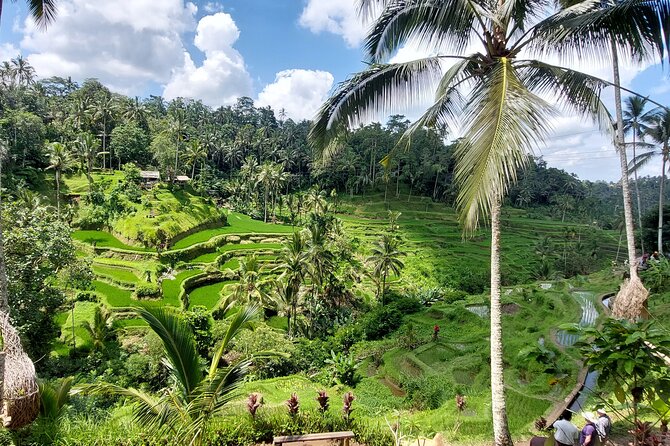 Ubud Customized Private Tour - Batubulan adds working arts and local culture