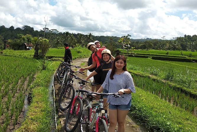 Ubud Cycling Tour - Is $50 a fair price from Seminyak?