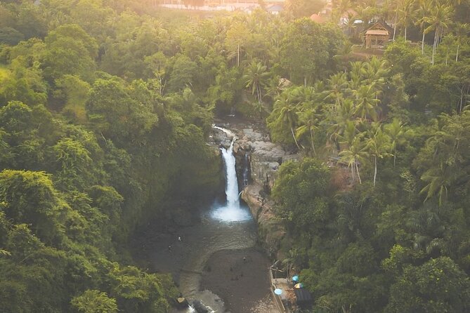 Ubud Day Tour: Sacred Monkey Forest, Tegenungan Waterfall, Rice Terrace - Why this private Ubud day works