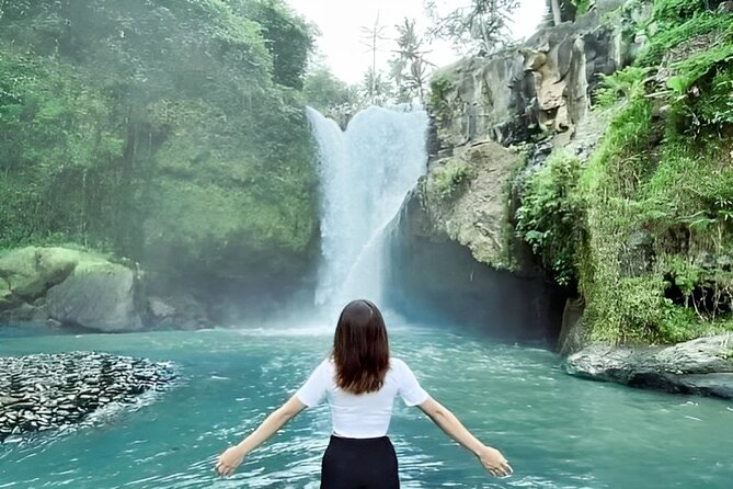 Ubud Day Tour: Sacred Monkey Forest, Tegenungan Waterfall, Rice Terrace - Tegenungan Waterfall and the cost of the view