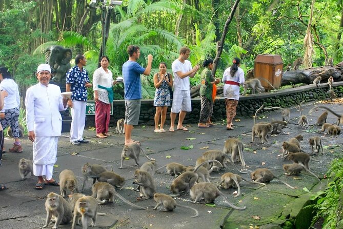 Ubud Day Tour: Sacred Monkey Forest, Tegenungan Waterfall, Rice Terrace - The driver makes or breaks the day