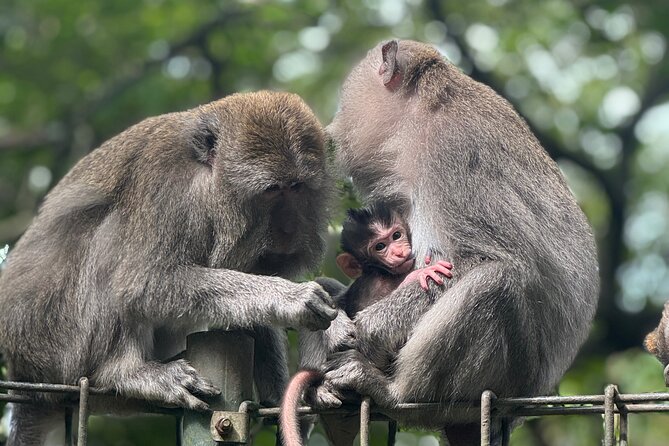 Ubud Day Tour with Private Car & Local Driver - Why a private car works well for Ubud