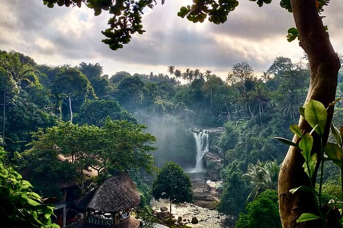 Ubud Day Tour with Private Car & Local Driver - Goa Gajah and Bali’s older sacred sites