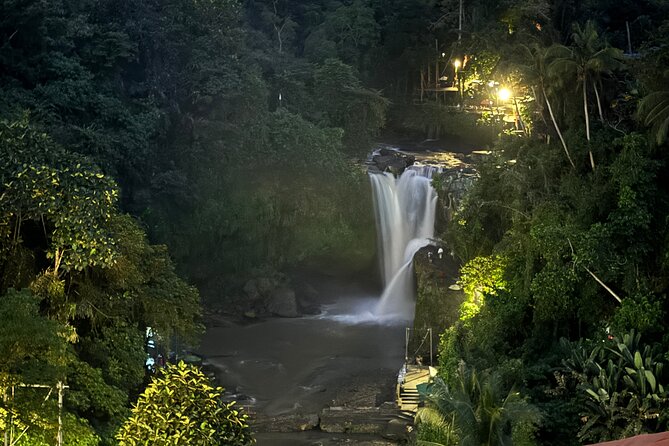 Ubud Day Tour with Private Car & Local Driver - Tegalalang Rice Terrace and the famous Ubud view