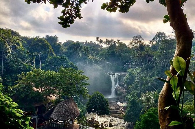Ubud Day Tour with Private Car & Local Driver - What about the Monkey Forest and shopping?