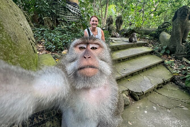 Ubud Day Tour with Private Car & Local Driver - Who will enjoy this Ubud day out?