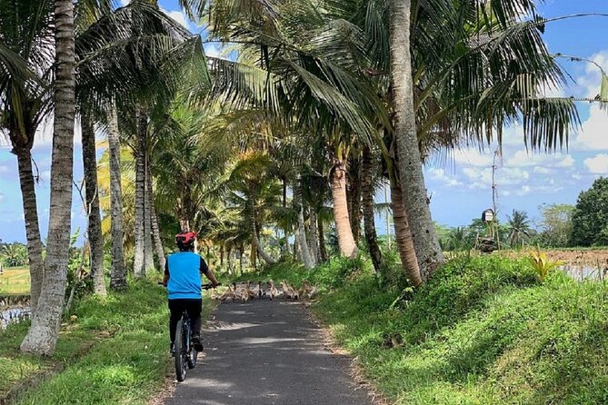Ubud: Downhill Cycling with Volcano, Rice Terraces and Meal - Lunch in Banjar Laplapan