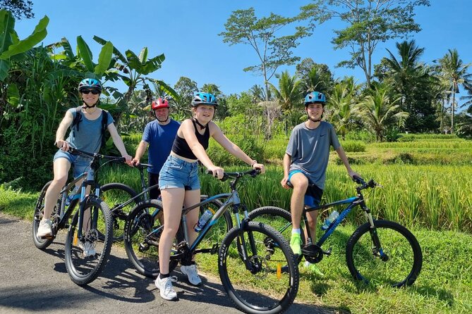 Ubud: Downhill Cycling with Volcano, Rice Terraces and Meal - Rice fields, farms, and the quieter side of Ubud